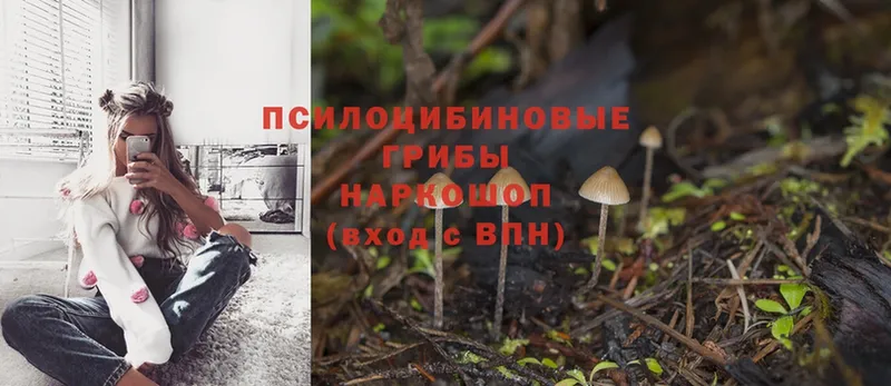 Псилоцибиновые грибы MAGIC MUSHROOMS  Алзамай 